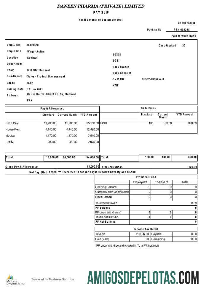 Realista Modelo de recibo de pagamento da Daneen Pharma em formatos Word e PDF.pdf, 1